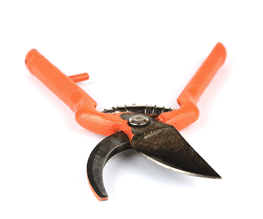 Garden Shears for tree trimming